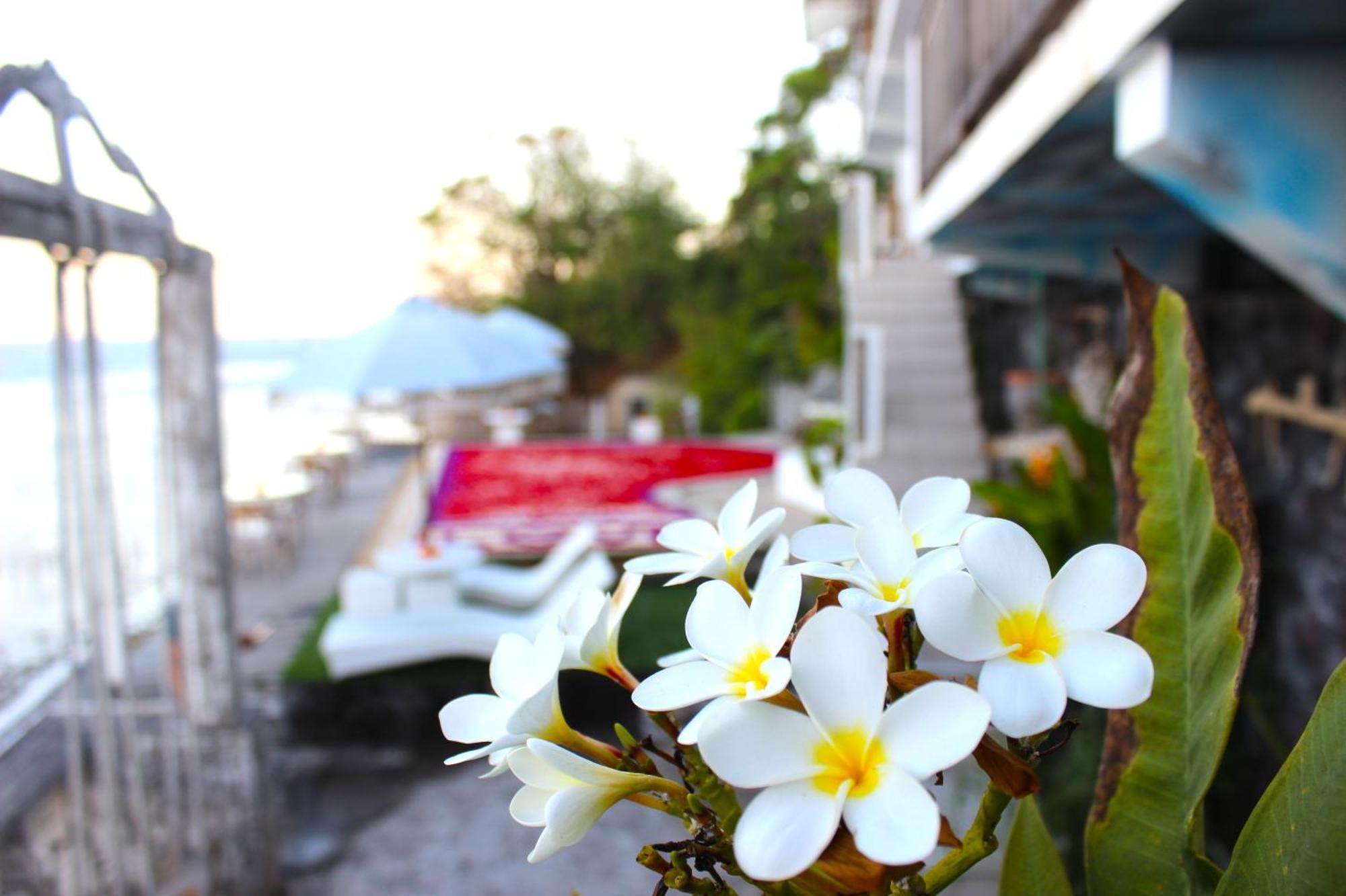 Suite Ocean Blue Batununggul 外观 照片